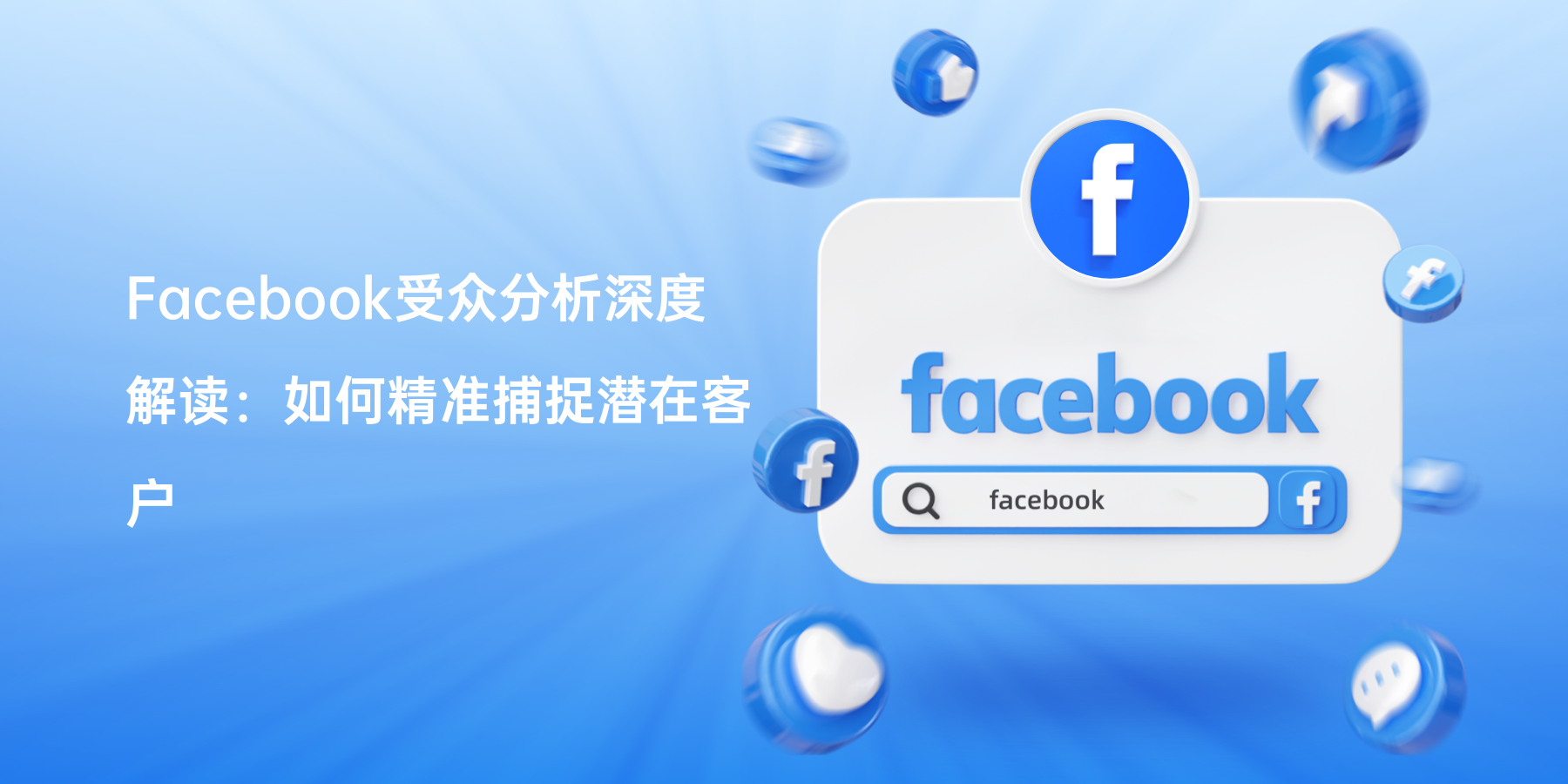 Facebook受众分析深度解读：如何精准捕捉潜在客户